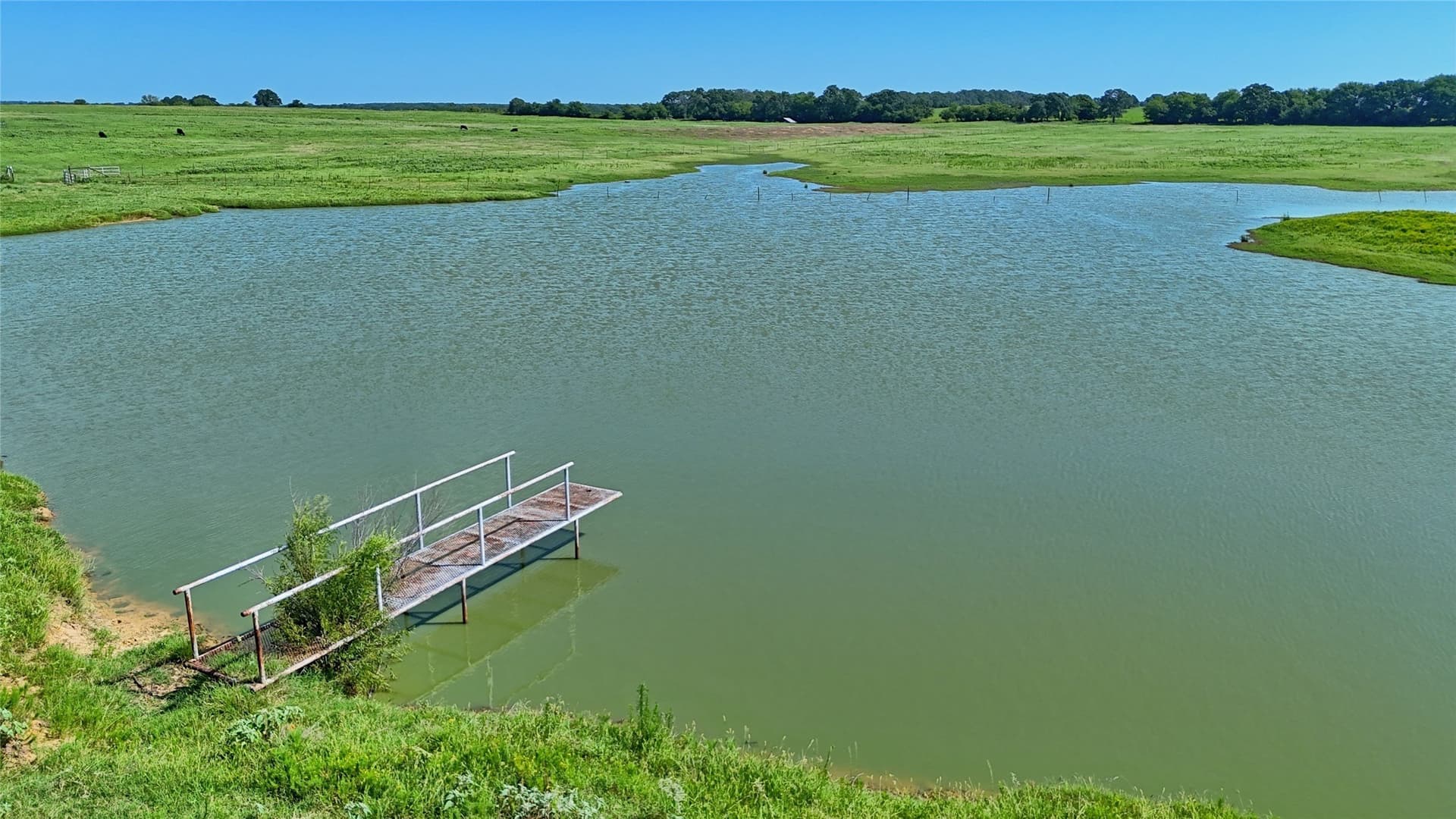 116 acres in Montague County featured view