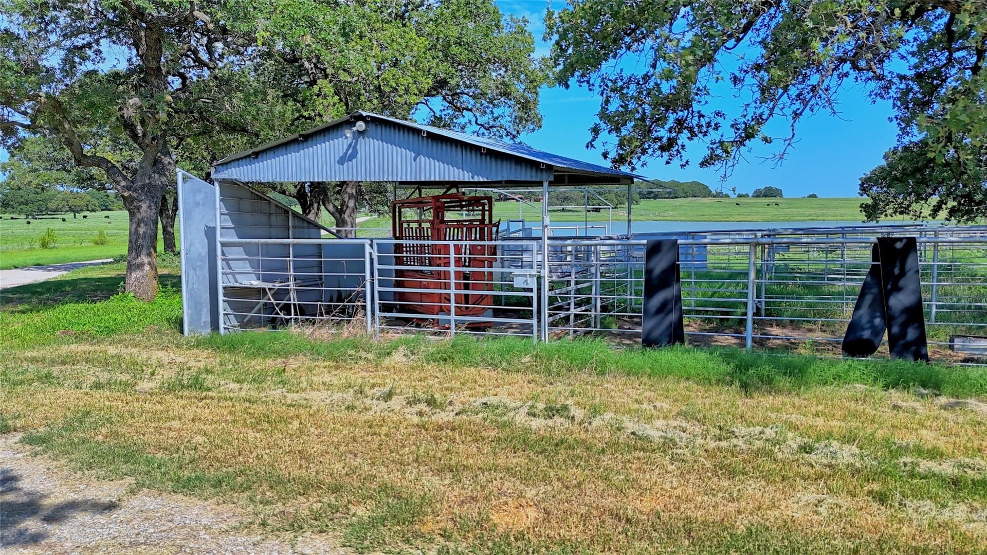 116 acres in Montague County - photo 12