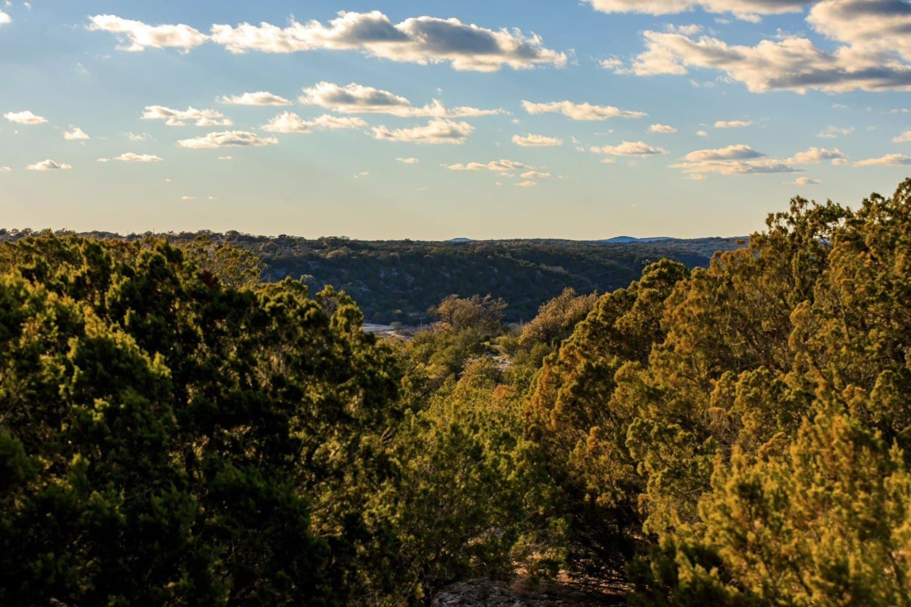 10.03 acres in Kimble County - photo 9