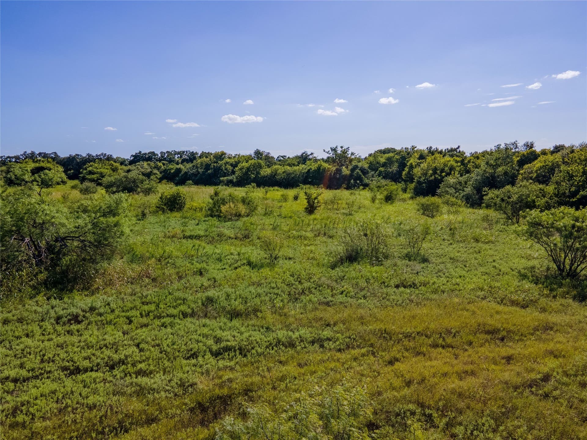 40 acres in Erath County - photo 12