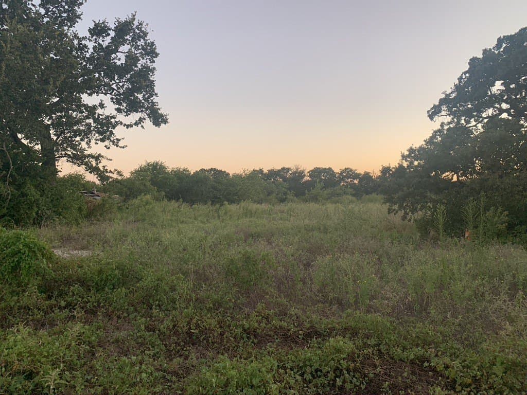 40 acres in Erath County - photo 32