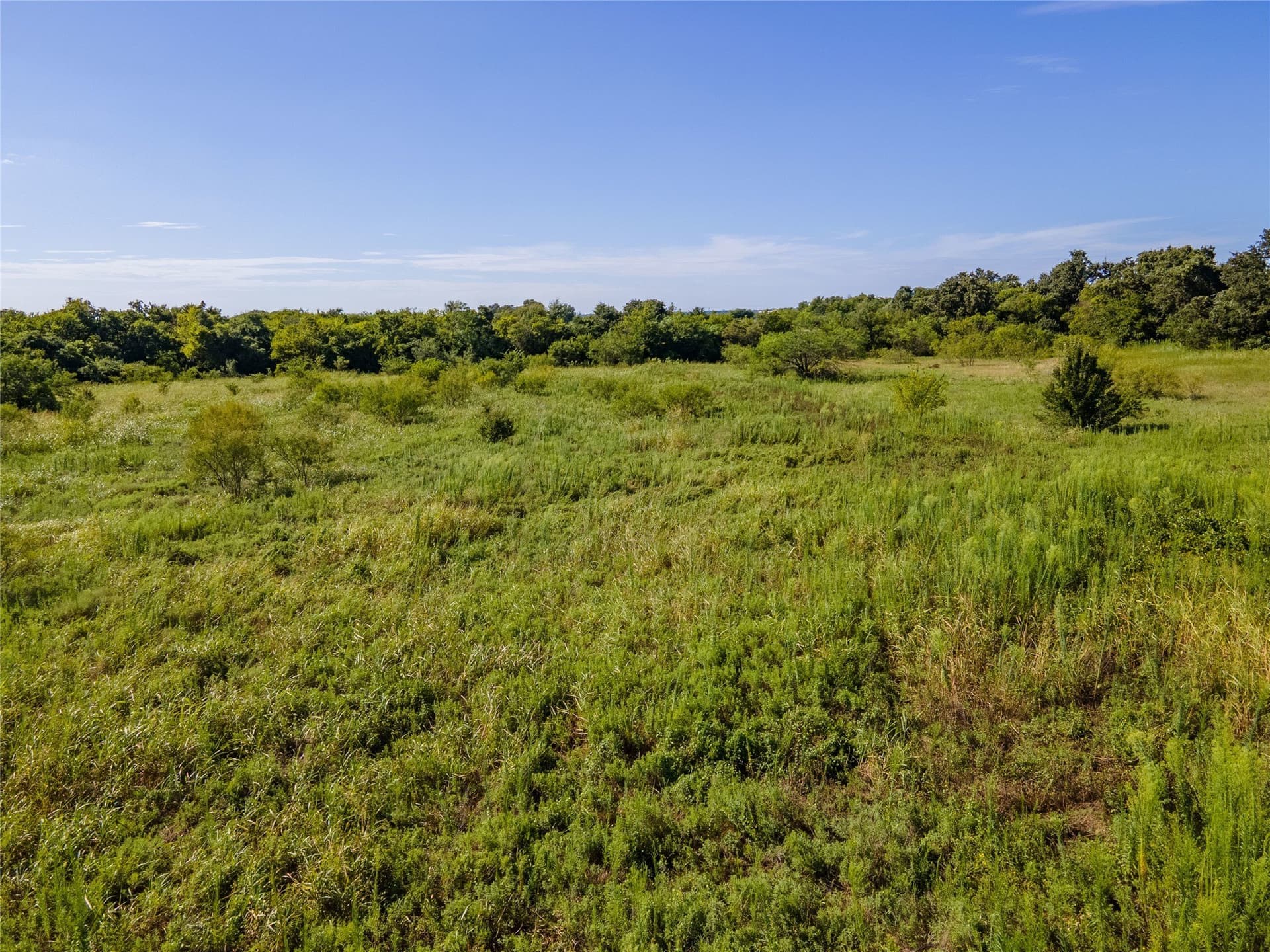 40 acres in Erath County - photo 9