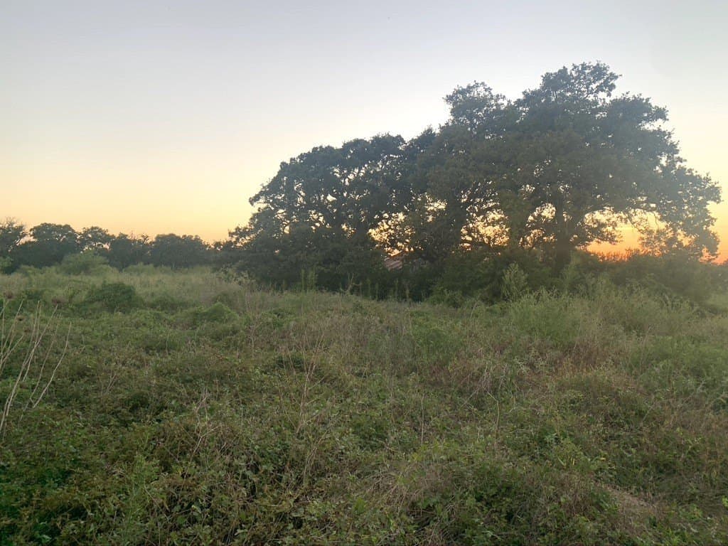 40 acres in Erath County - photo 33