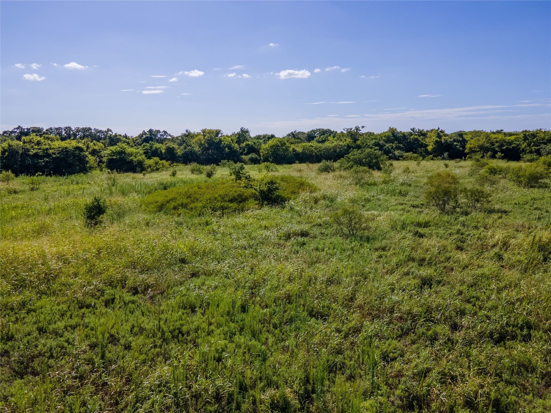 40 acres in Erath County - photo 10
