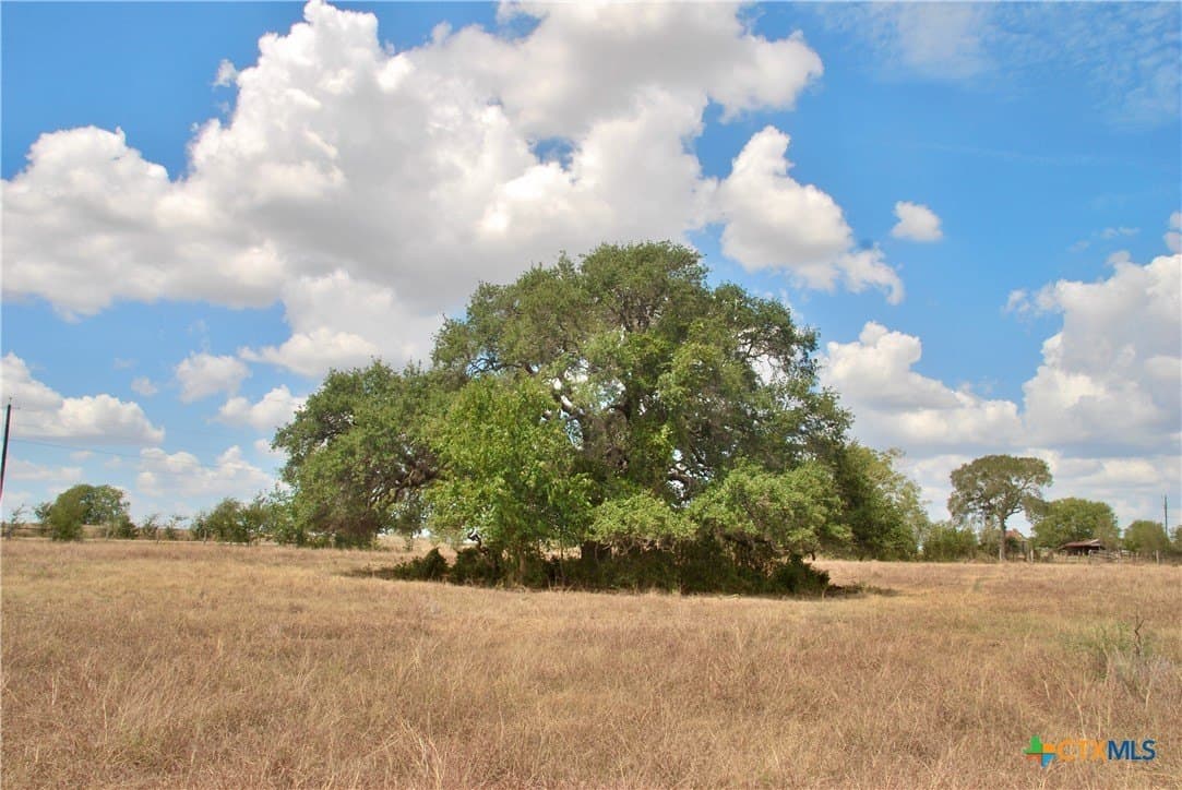 15.3 acres in Lavaca County - photo 8
