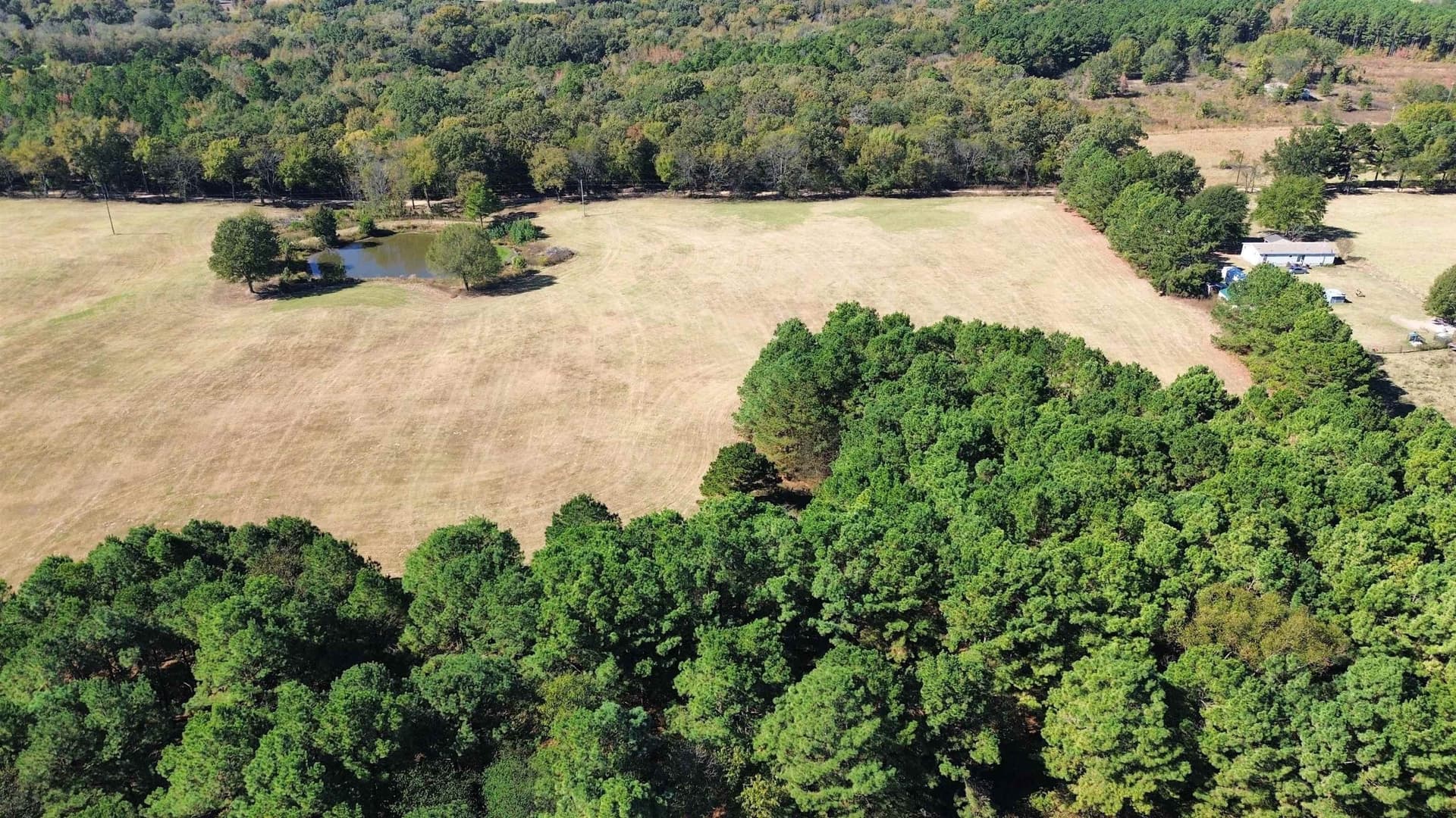 4.27 acres in Titus County gallery image 2