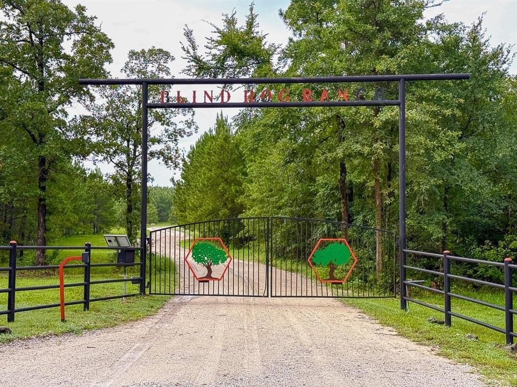 60 acres in Walker County gallery image 2