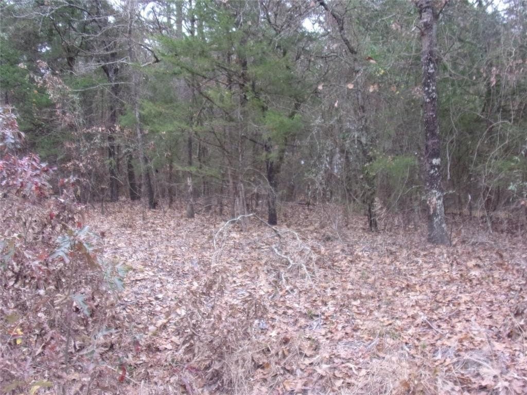 1.24 acres in Van Zandt County gallery image 4
