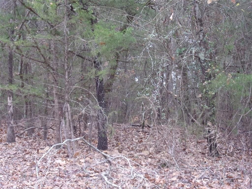 1.24 acres in Van Zandt County featured view