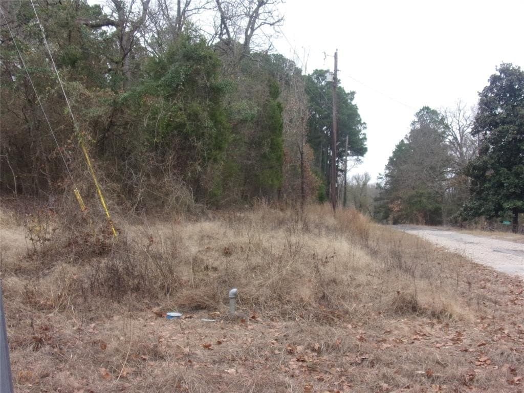 1.24 acres in Van Zandt County gallery image 2