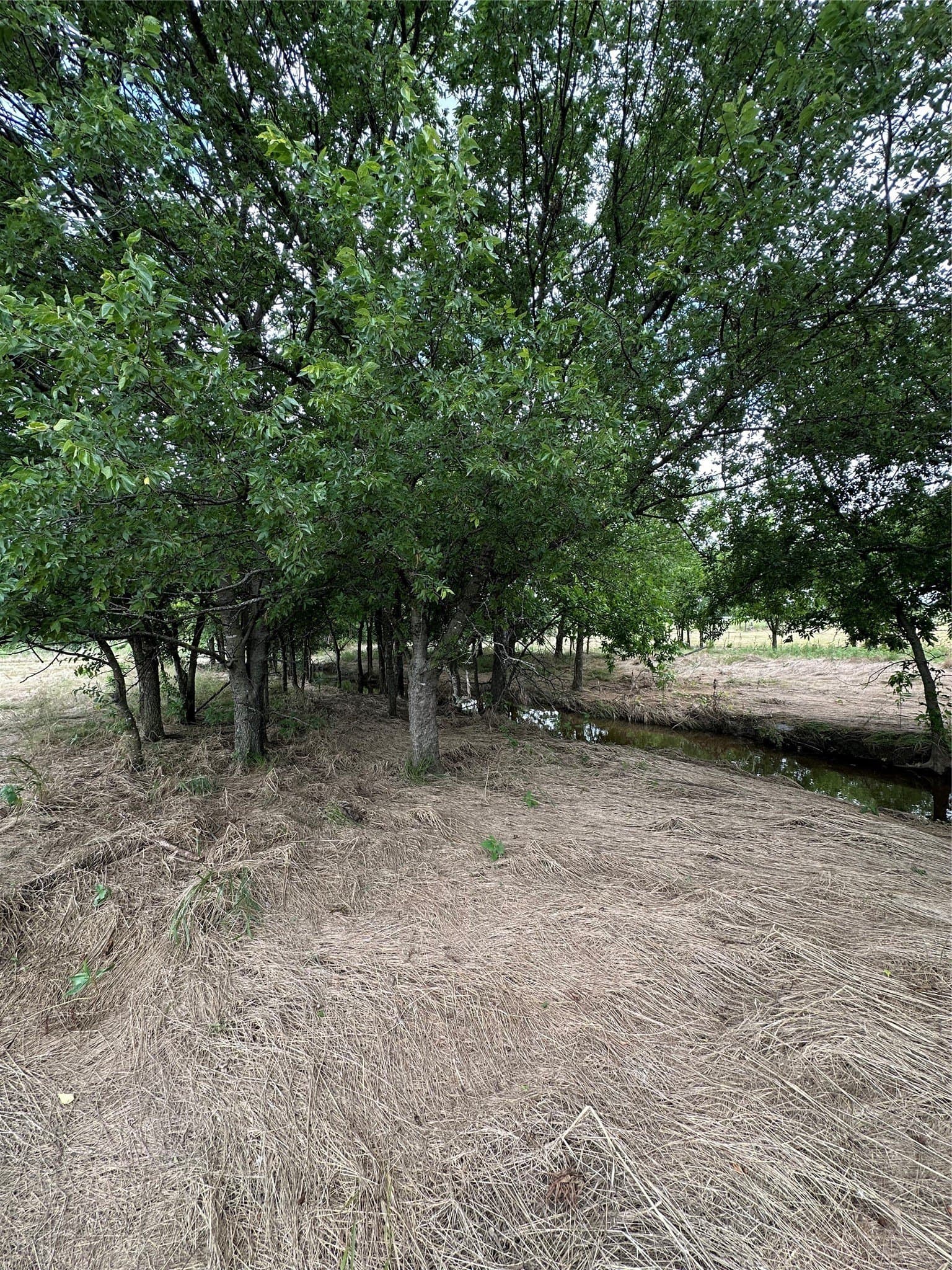 9.57 acres in Cooke County - photo 16