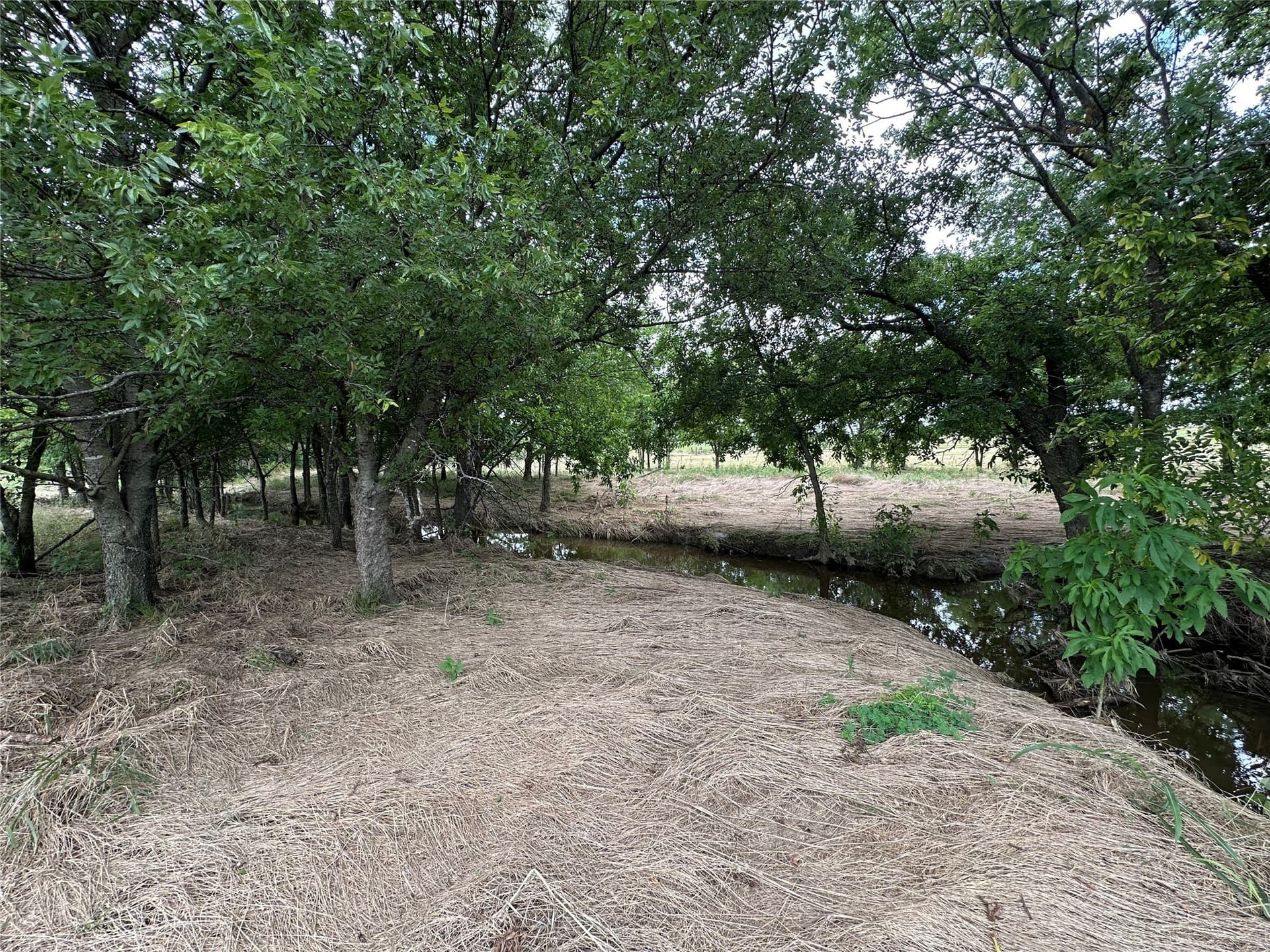 9.57 acres in Cooke County - photo 22