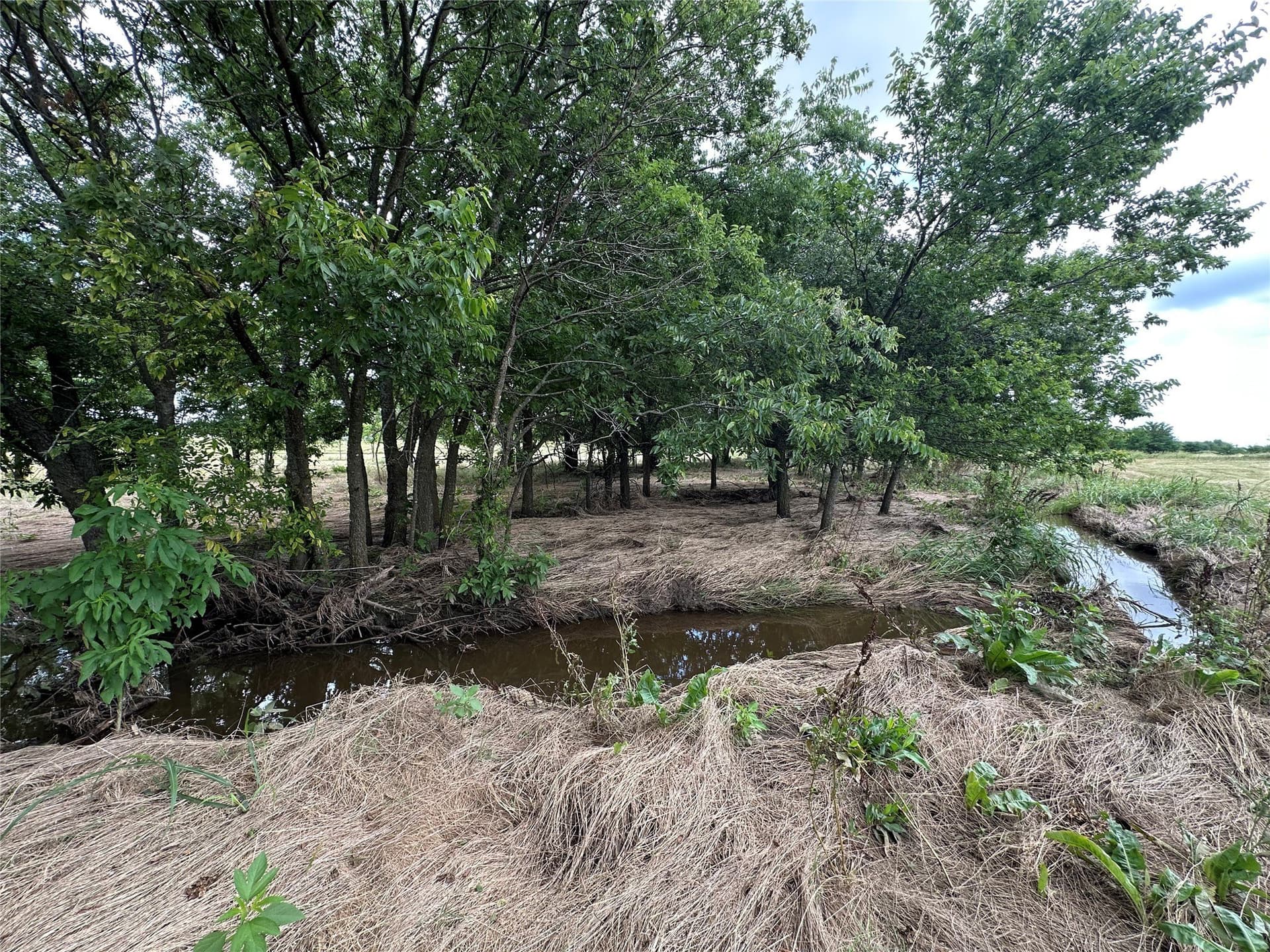 9.57 acres in Cooke County - photo 23