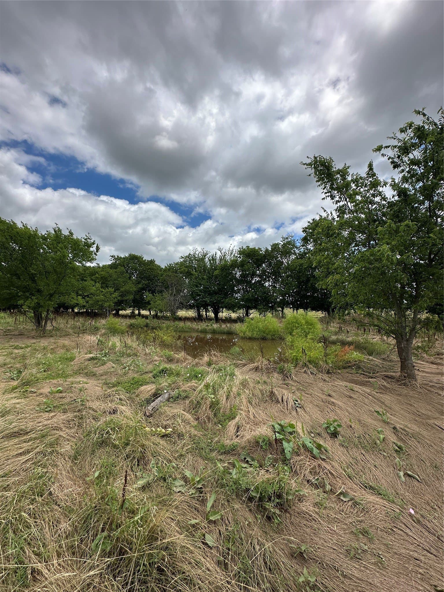 9.57 acres in Cooke County - photo 19