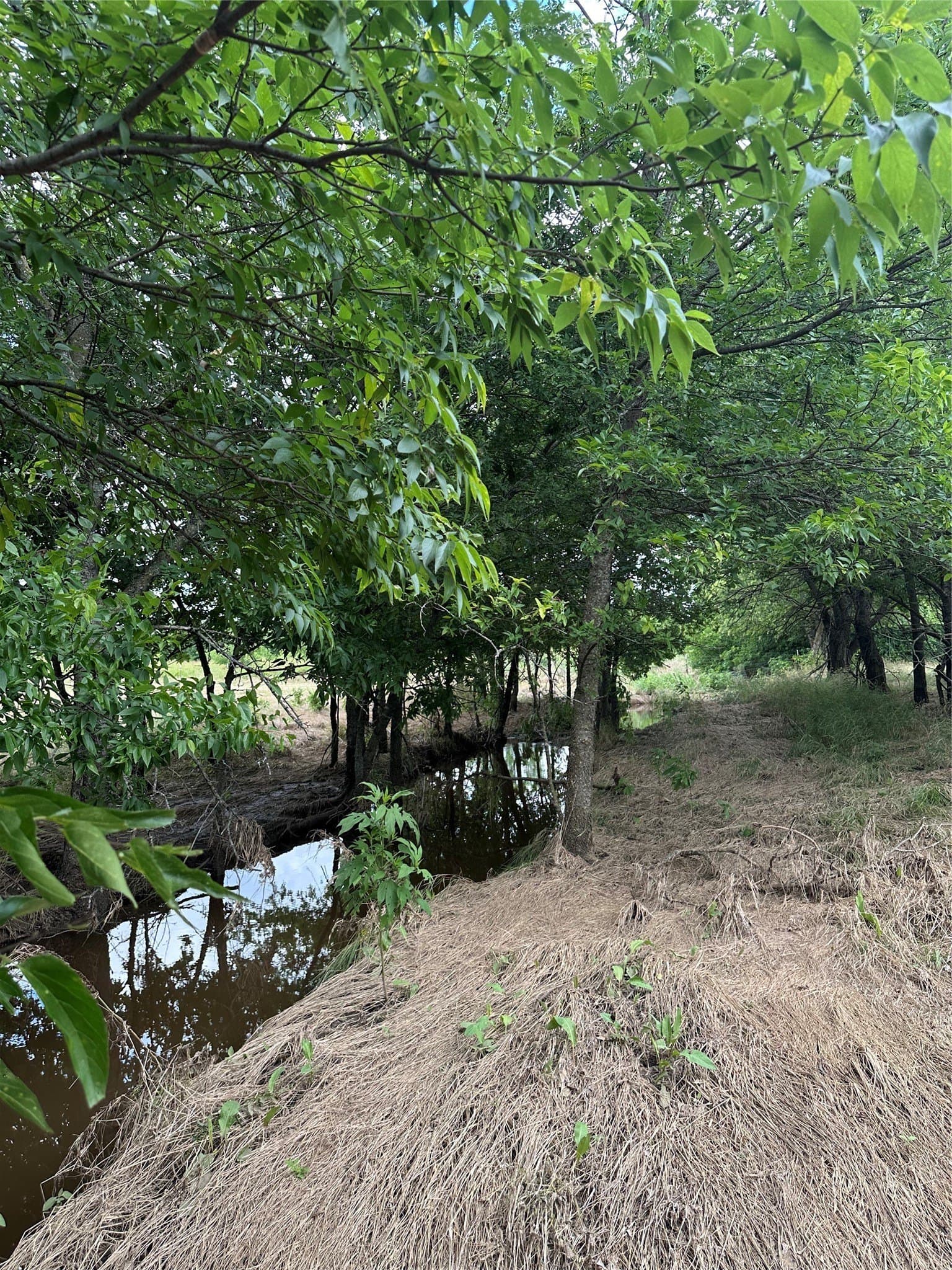 9.57 acres in Cooke County - photo 13