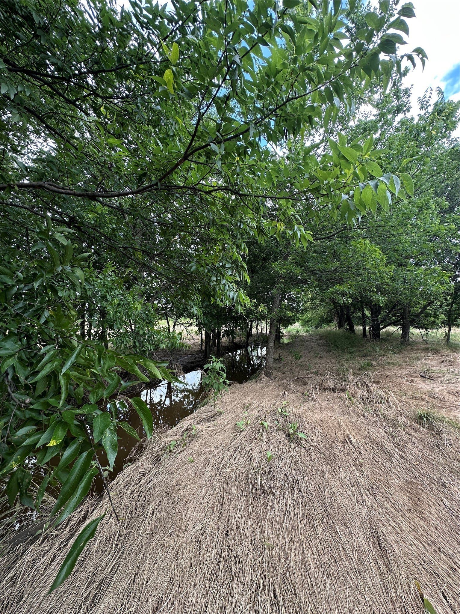 9.57 acres in Cooke County - photo 12