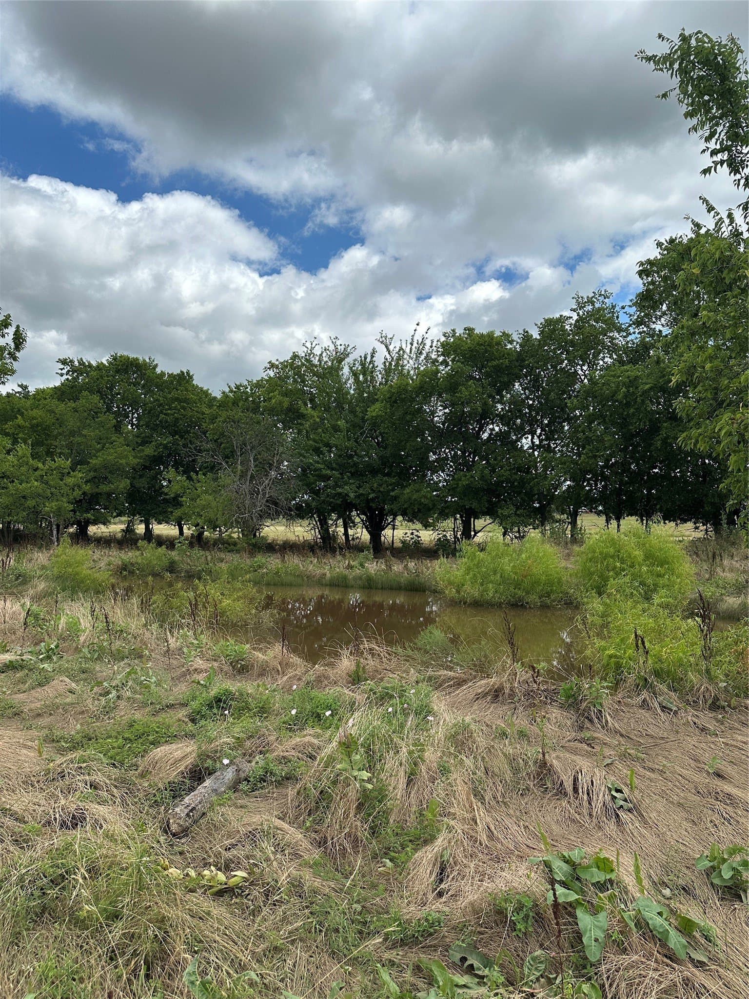 9.57 acres in Cooke County - photo 21