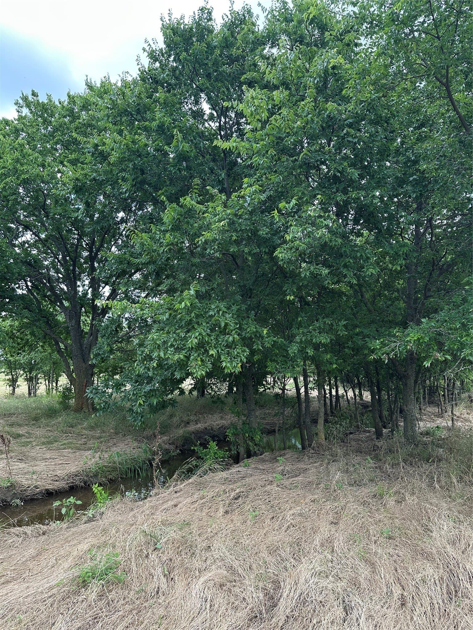 9.57 acres in Cooke County - photo 24
