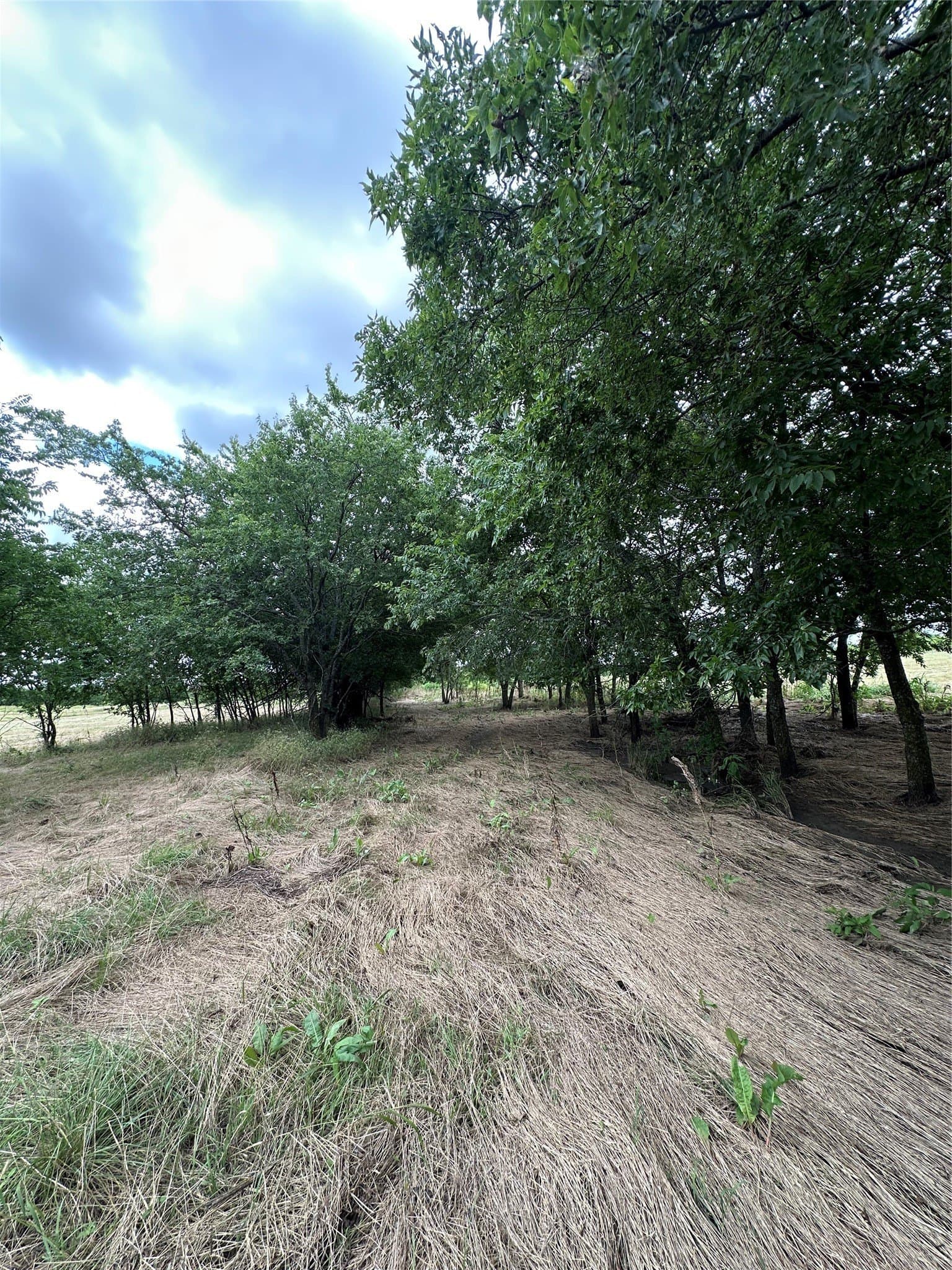 9.57 acres in Cooke County - photo 14