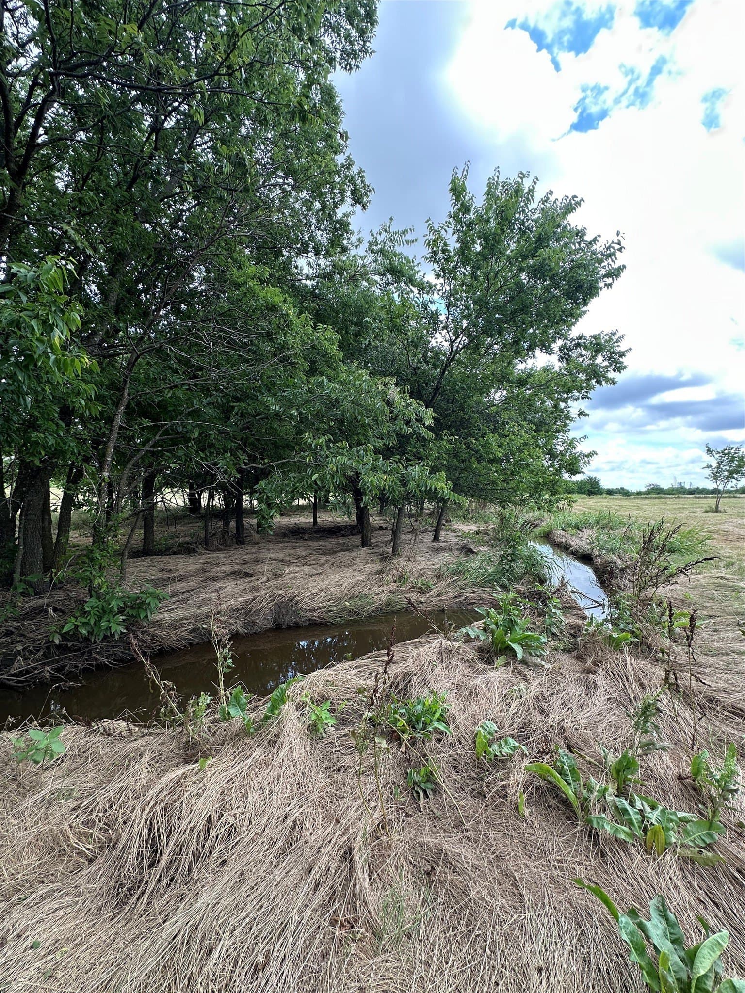 9.57 acres in Cooke County - photo 17