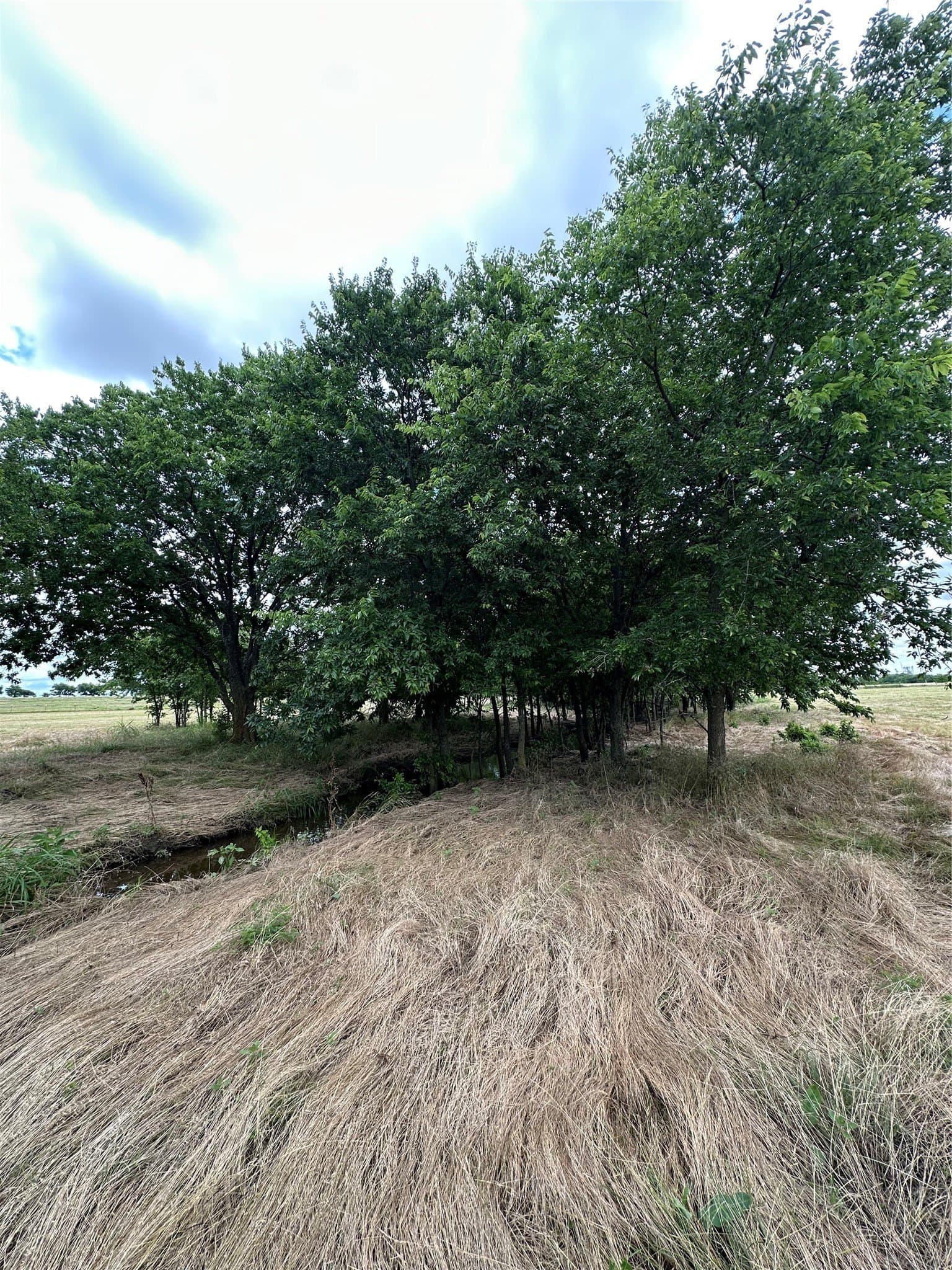 9.57 acres in Cooke County - photo 15
