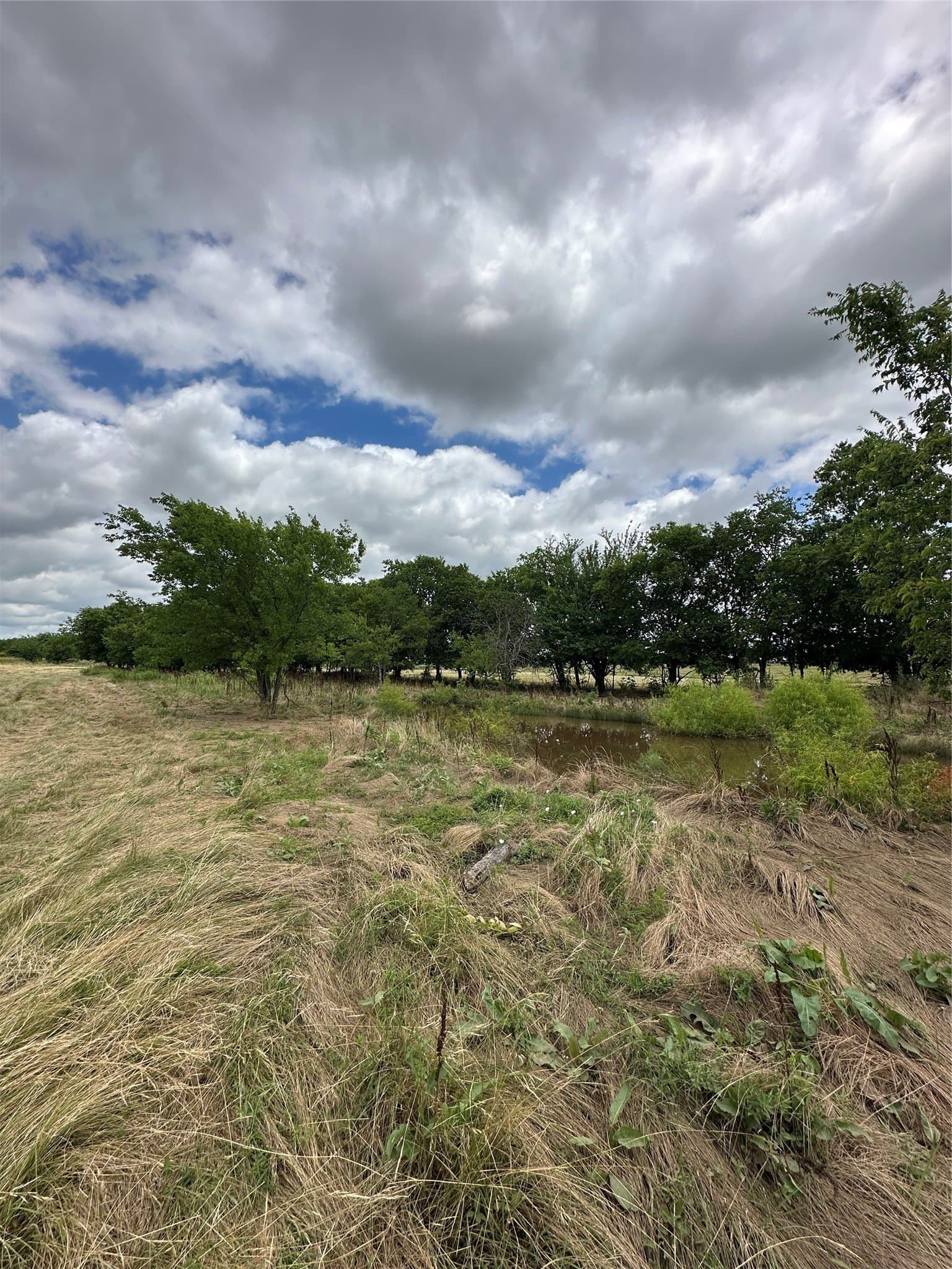9.57 acres in Cooke County - photo 20