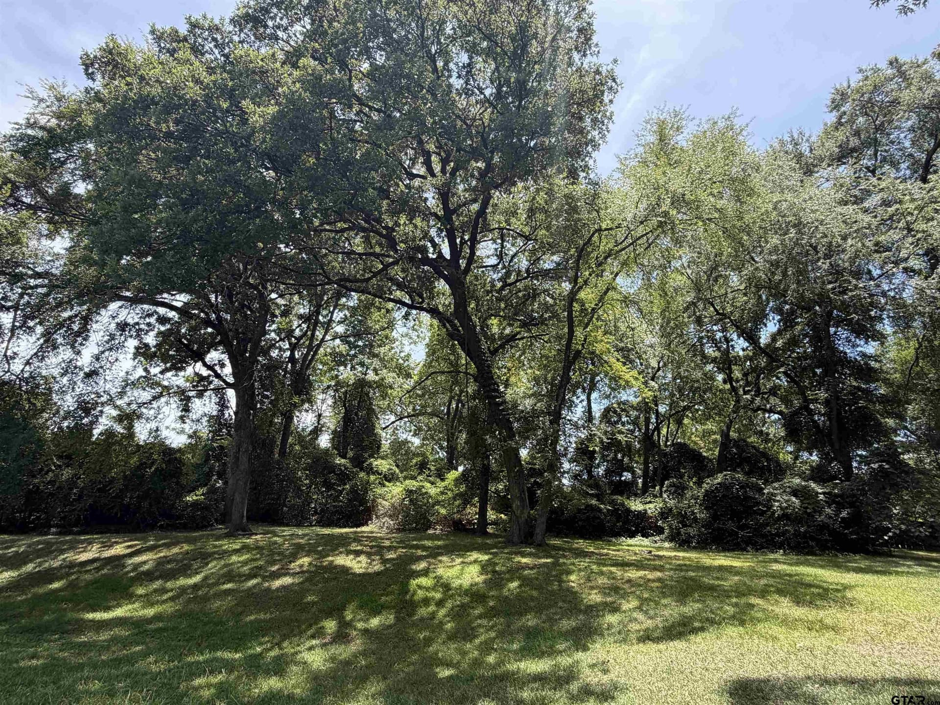65 acres in Titus County - photo 23