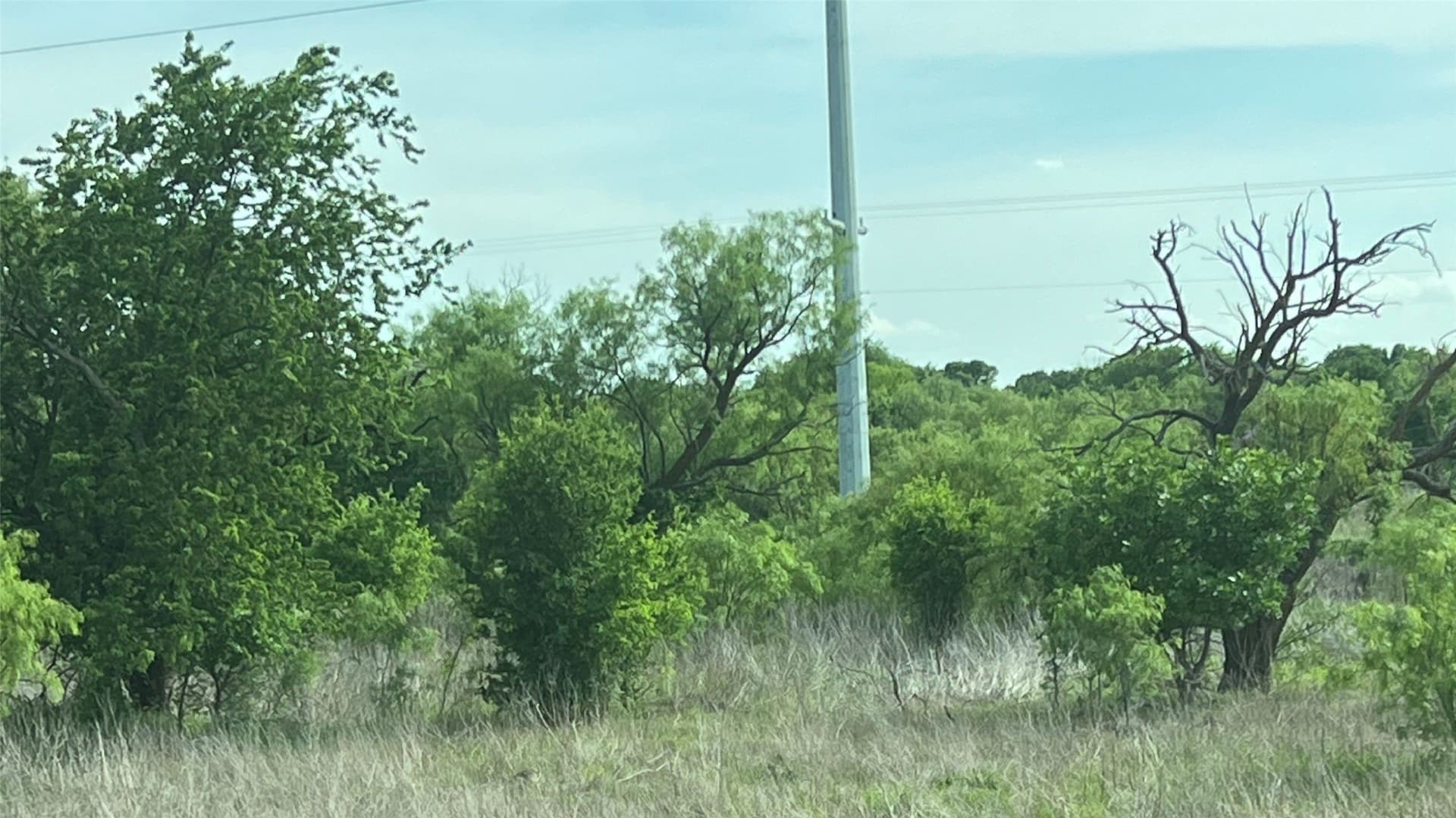 15 acres in Clay County