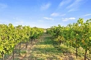 74.4 acres in Wichita County - photo 2