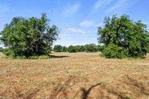 74.4 acres in Wichita County - photo 19