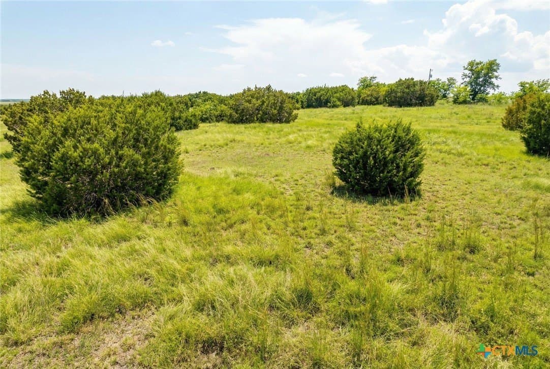 3.12 acres in Williamson County - photo 10