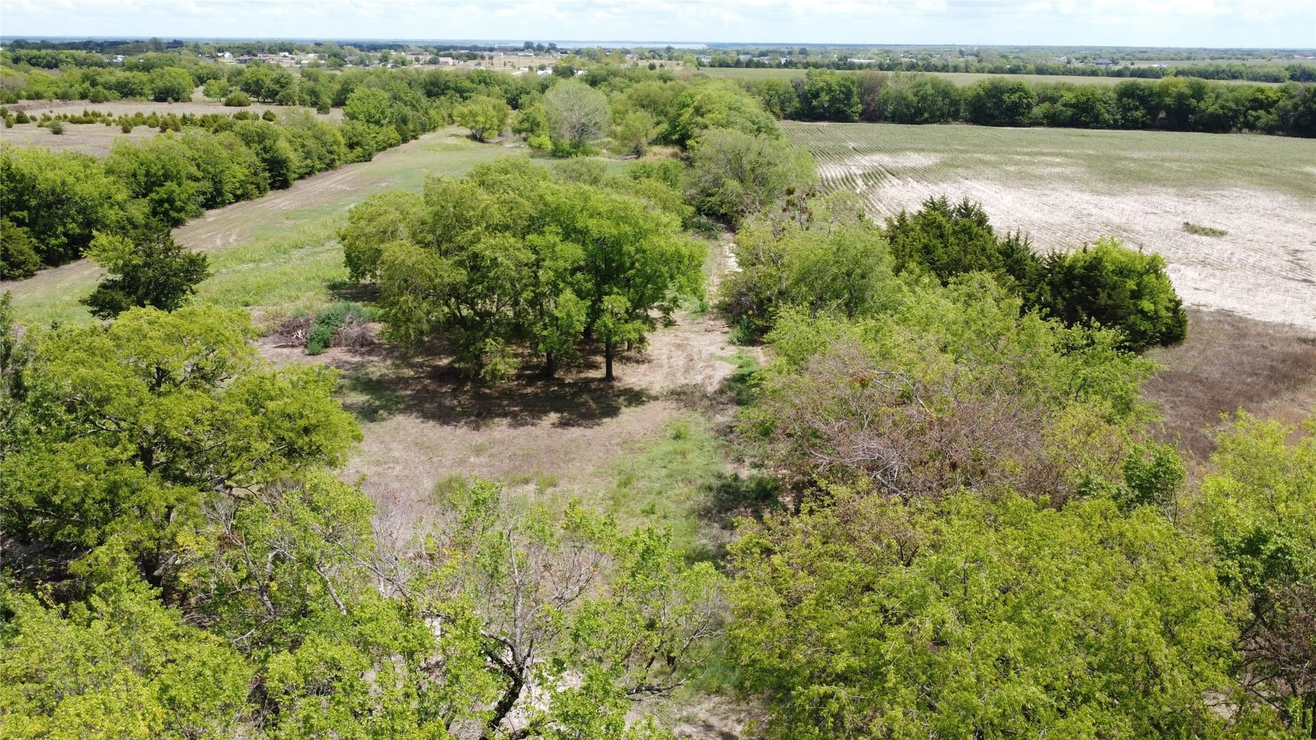 9.83 acres in Hunt County gallery image 3