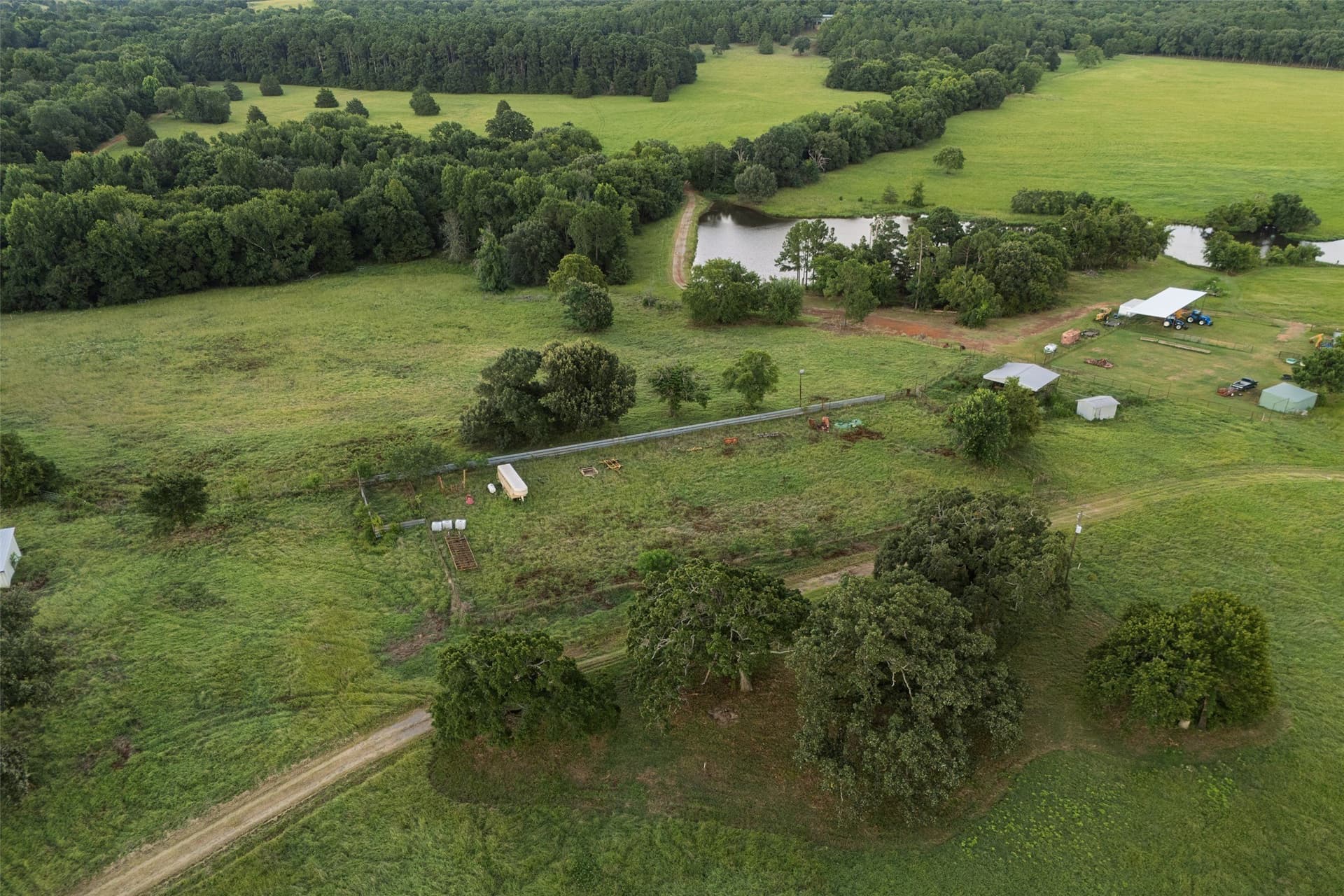 40 acres in Smith County gallery image 4
