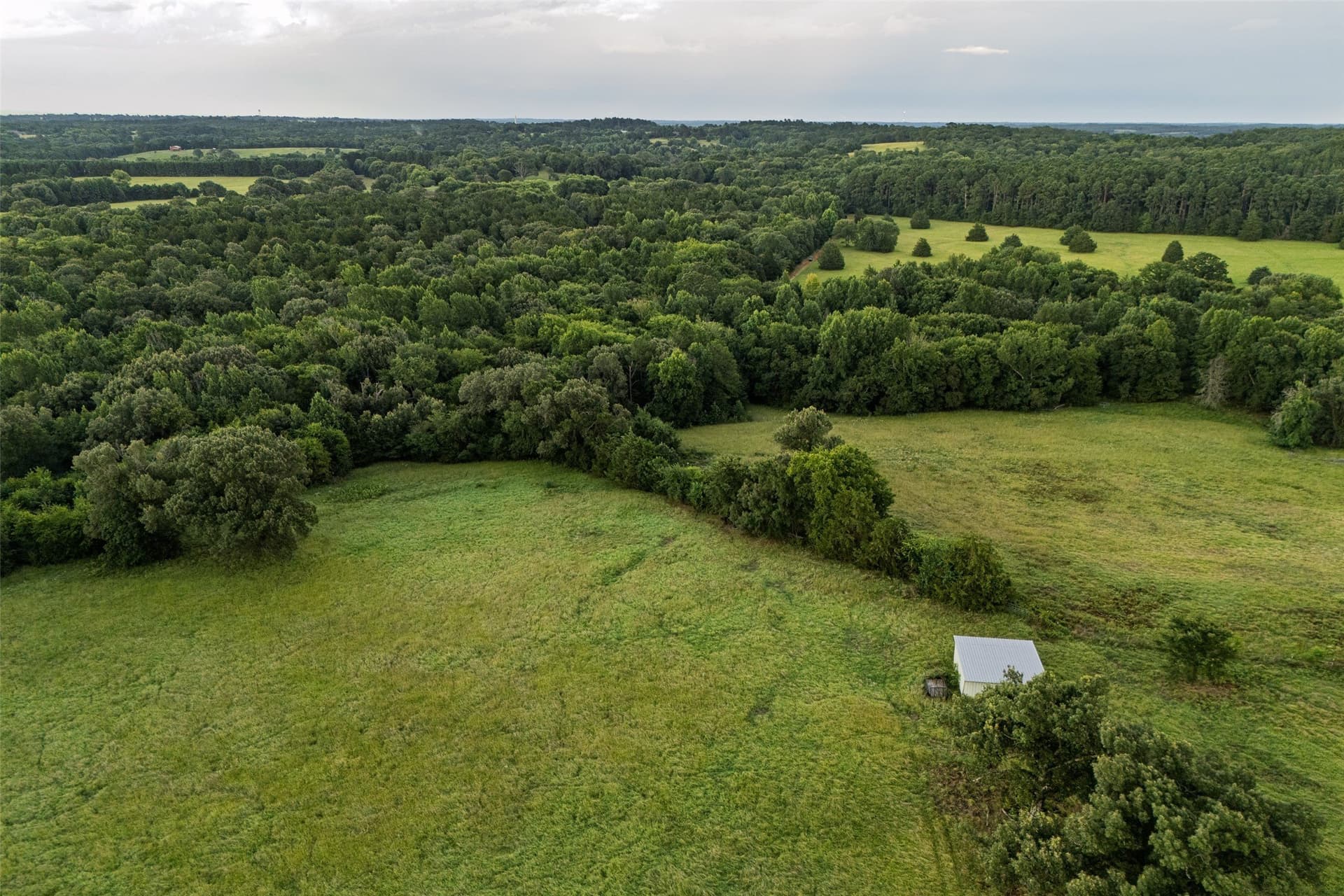 40 acres in Smith County featured view