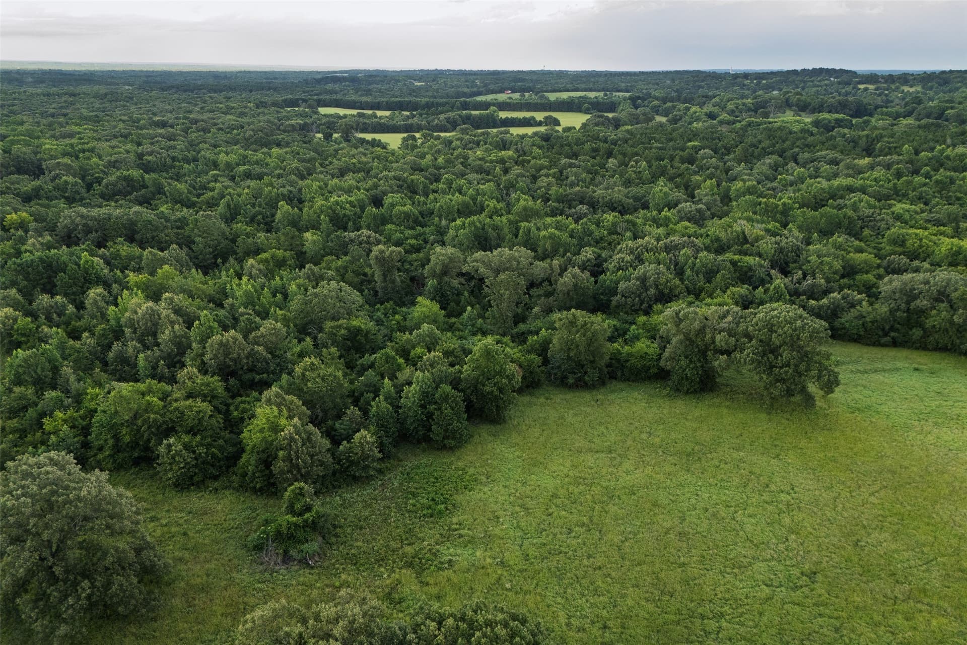 40 acres in Smith County - photo 14
