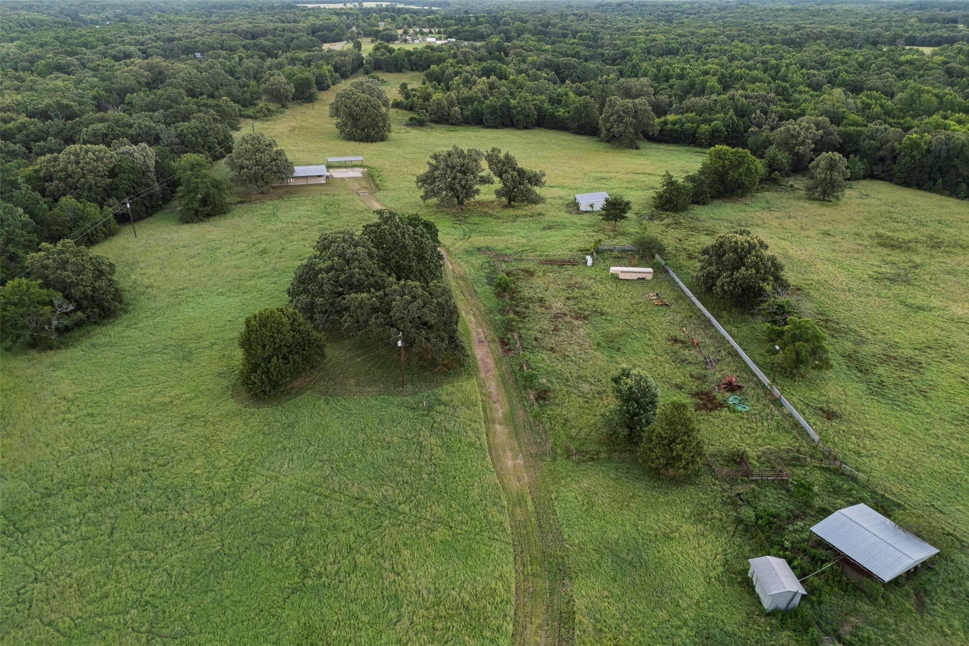 40 acres in Smith County gallery image 2