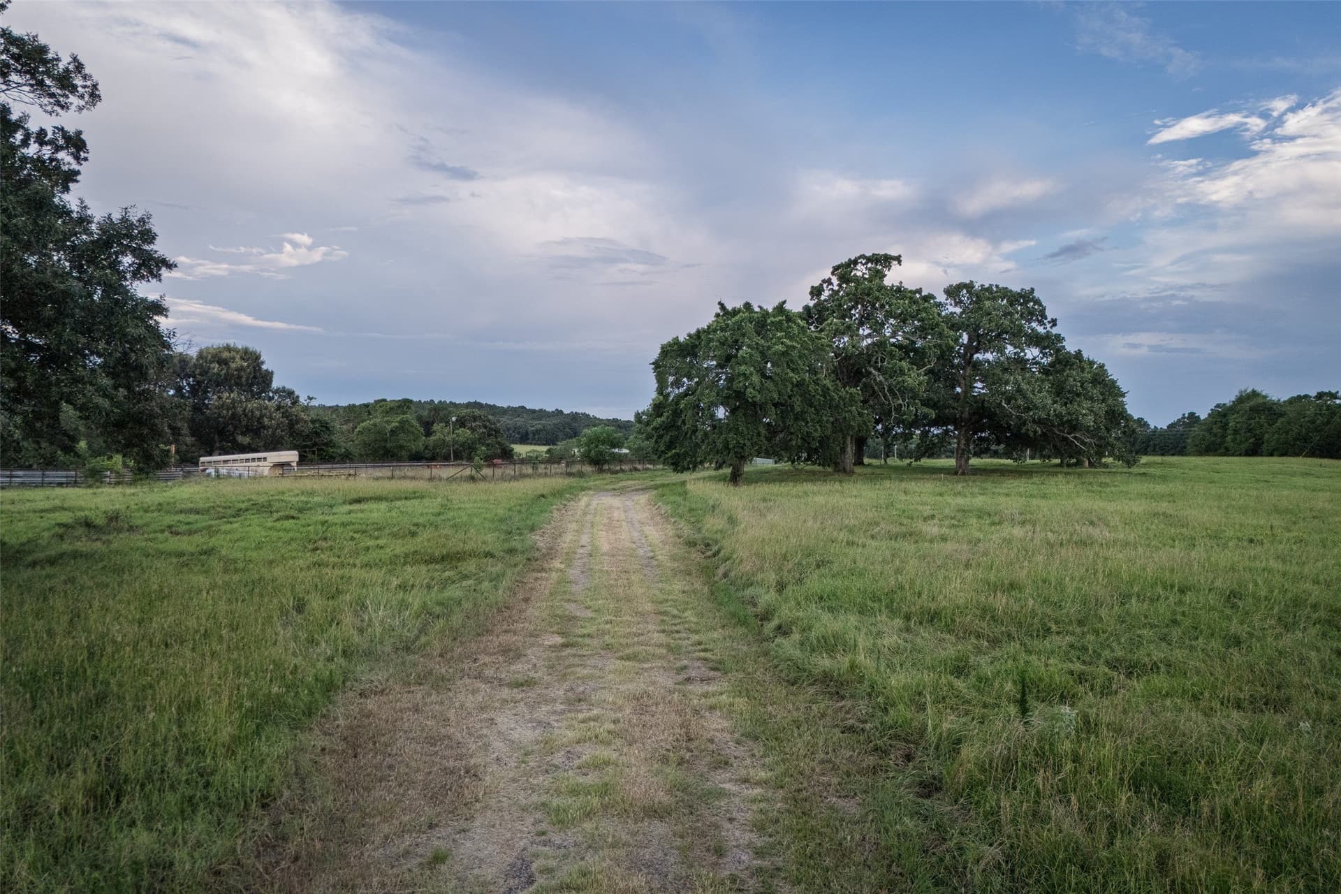 40 acres in Smith County gallery image 3