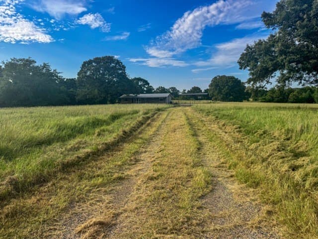 40 acres in Smith County - photo 27
