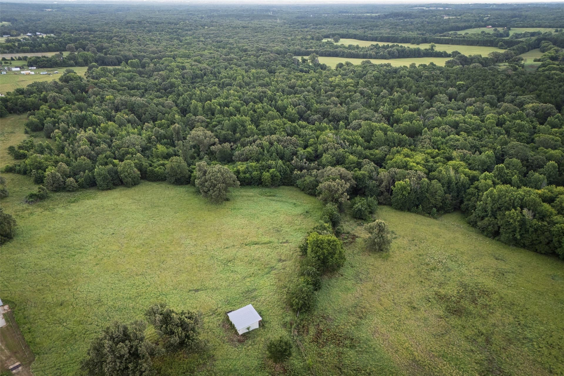 40 acres in Smith County - photo 26