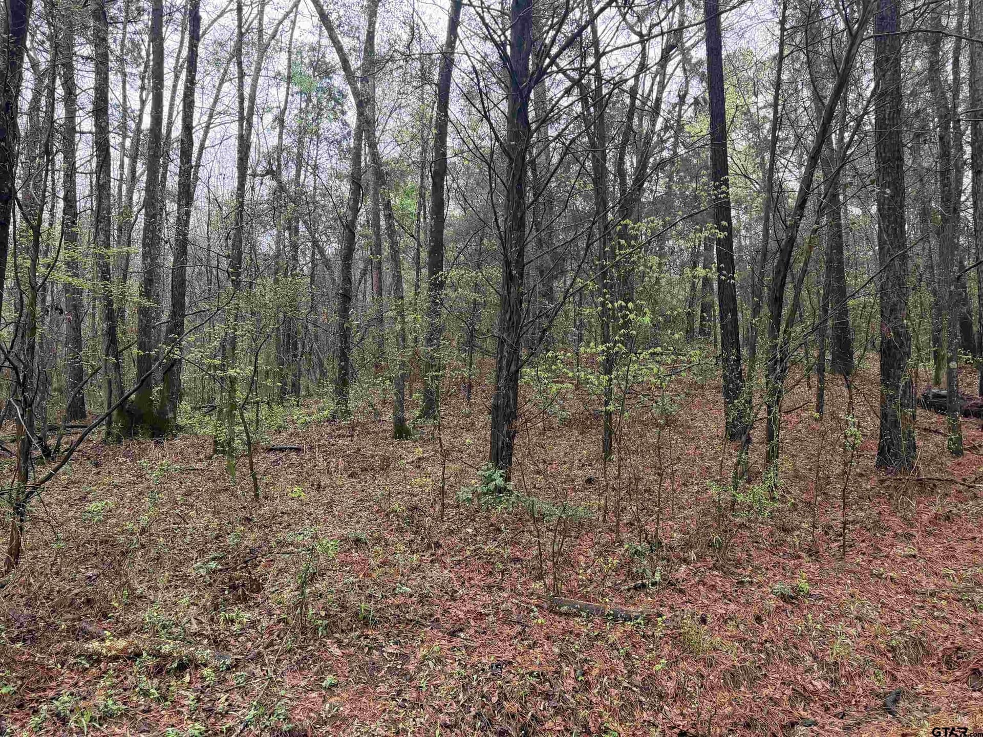 3 acres in Morris County featured view