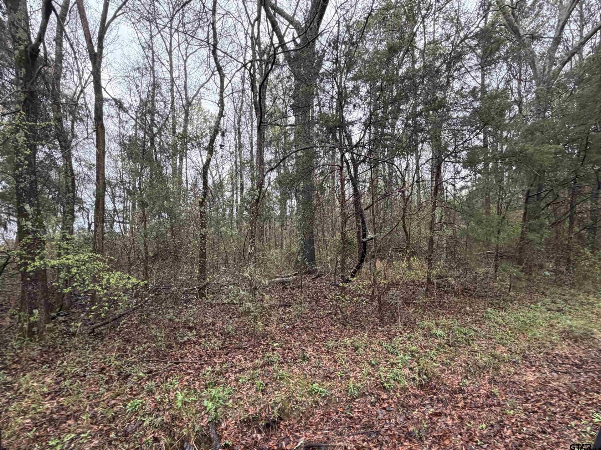 3 acres in Morris County gallery image 4