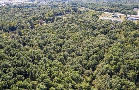 30 acres in Gregg County - photo 6