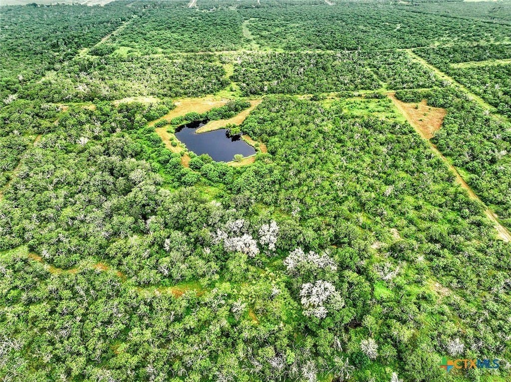 84.84 acres in Wilson County gallery image 4