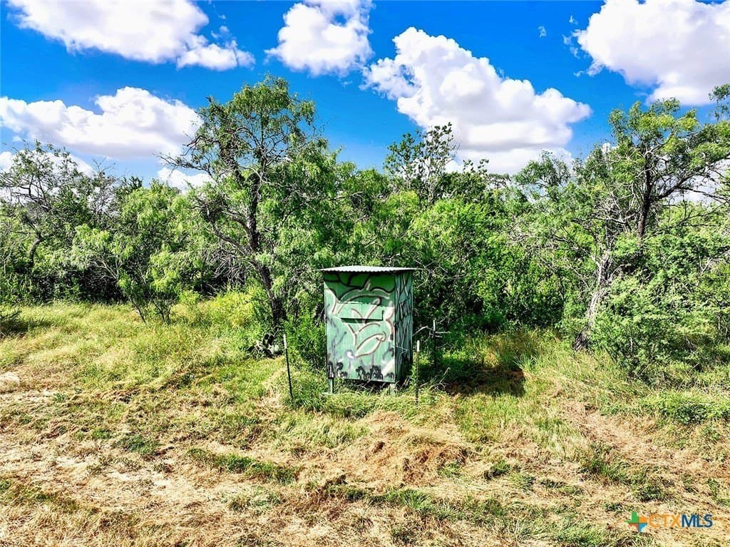 84.84 acres in Wilson County - photo 6