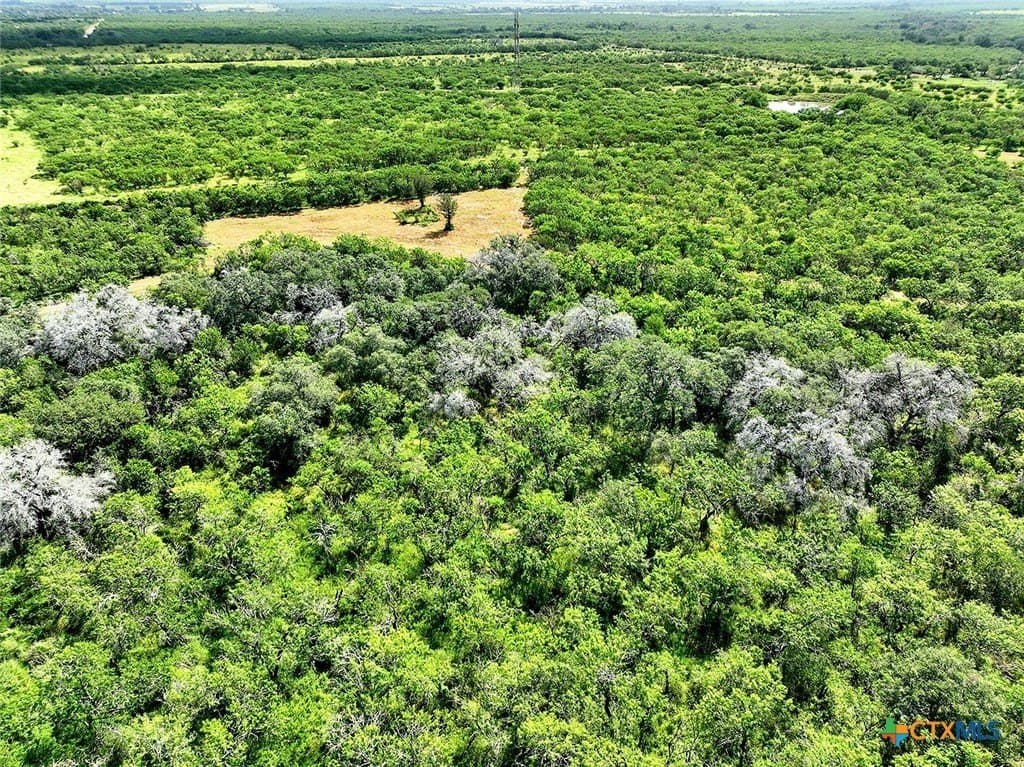 84.84 acres in Wilson County - photo 7