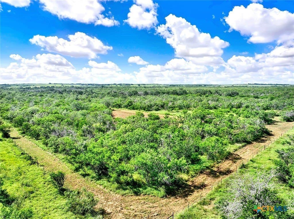 84.84 acres in Wilson County - photo 9