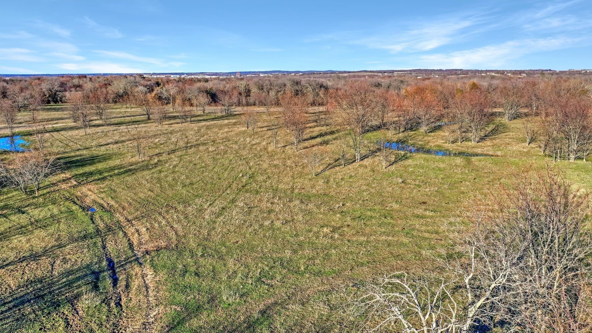87.26 acres in Grayson County - photo 13
