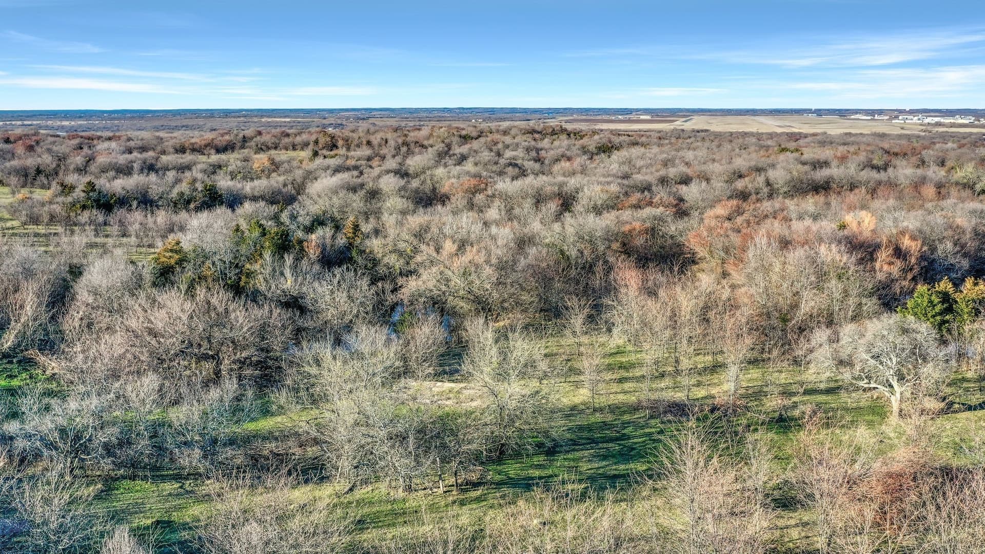 87.26 acres in Grayson County - photo 23