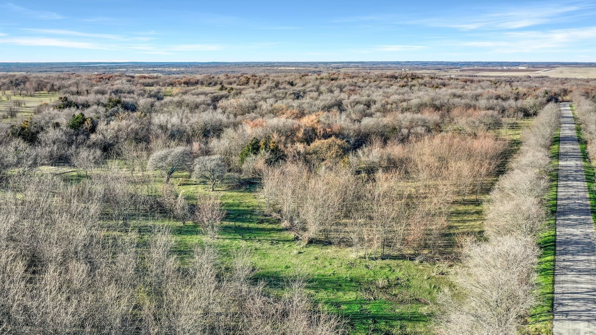 87.26 acres in Grayson County - photo 24