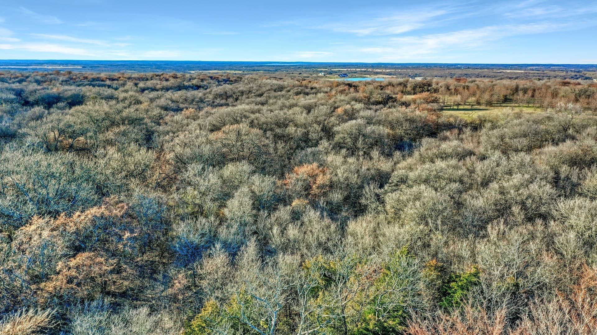 87.26 acres in Grayson County - photo 16